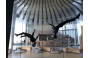 ThumbnailProfessionelle Indoor-Skydiving-Show in der Jochen Schweizer Arena: Zwei Athleten führen synchron akrobatische Flugmanöver im vertikalen Windtunnel vor.