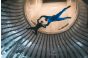 ThumbnailIndoor Skydiving in der Jochen Schweizer Arena: Teilnehmer im blauen Anzug und Instruktor im schwarzen Anzug fliegen gemeinsam im Windkanal und demonstrieren eine Flugtechnik.