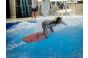 ThumbnailEine gute Surferin auf der stehenden Welle in der Jochen Schweizer Arena