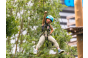 Thumbnailein Kind, welches am Flying Fox fliegt